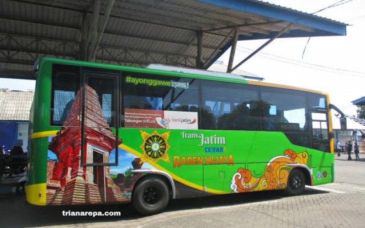 Foto Bus Trans Jatim 