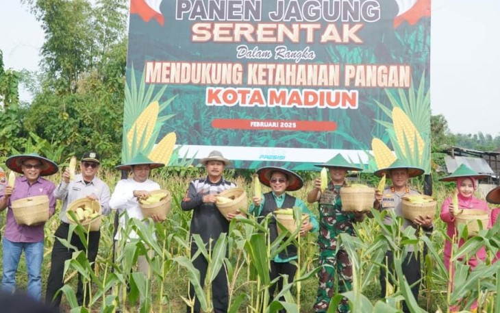 Dandim dan Forkopimda Kota Madiun Panen Raya Jagung
