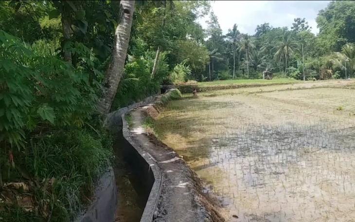 Proyek Drainase di Bantur
