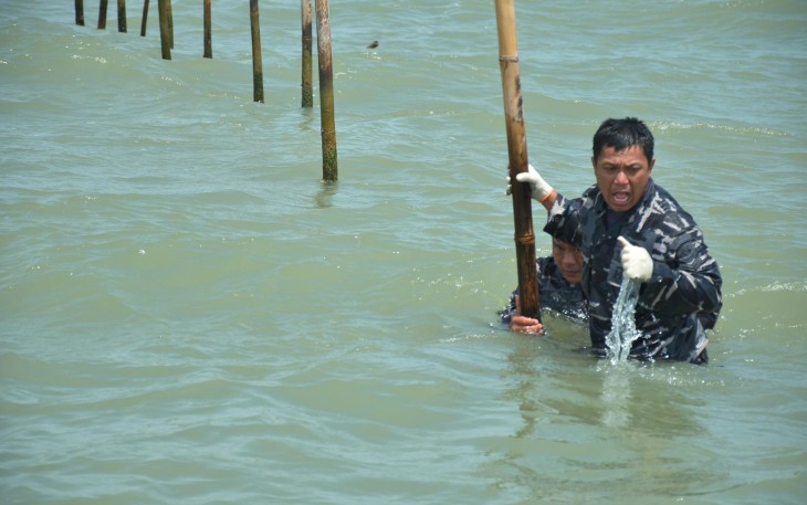 TNI AL Terus Lanjutkan Pencabutan Pagar Laut di Kronjo, Tangerang, Banten. Rabu (05/02).