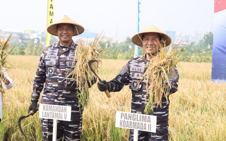 Panen Raya Padi TNI AL di wilayah Surabaya