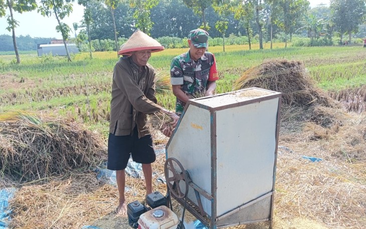 Babinsa Jogorogo Aktif Lakukan Pendampingan Kepada Petani di Wilayah Binaan