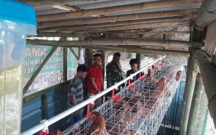 Korem 052/Wkr Ajari Anak Panti Asuhan Ternak Ayam