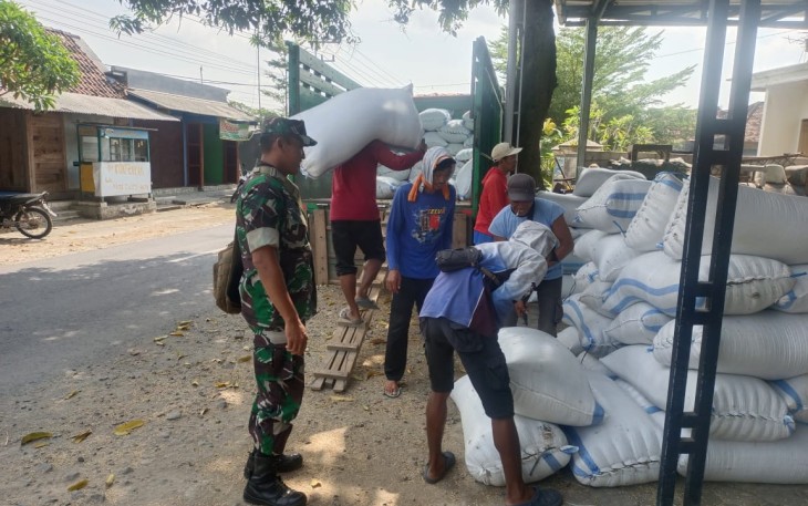 Babinsa Ngrambe Kawal Sergap 12,6 Ton Gabah Terserap ke Bulog