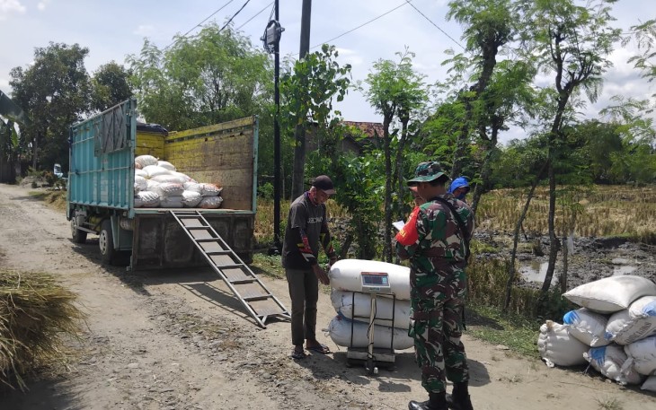 Anggota TNI Kodim Ponorogo Sukseskan Sergab Sejahterakan Petani 
