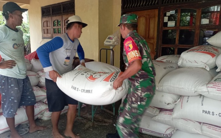 Komitmen TNI AD dalam mendukung ketahanan pangan nasional kembali diwujudkan Kodim 0806/Trenggalek melalui peran aktif para Bintara Pembina Desa (Babinsa) di lapangan