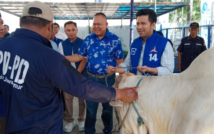 Demokrat Jatim Bagikan 1.500 Paket Daging Kurban