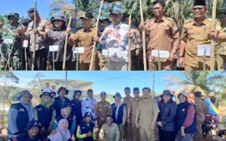 Pemda Kaur Lakukan Penanaman Padi Gogo