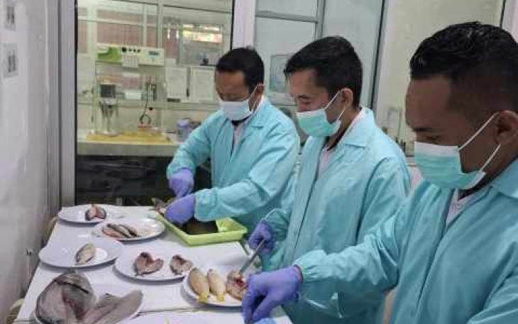 Pengujian laboratorium ikan hasil destructive fishing 