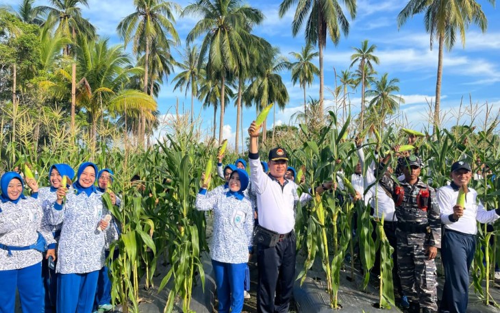Lanal Ranai Panen Jagung dan Dukung Program Ketahanan Pangan di Lahan 1,2 Hektar 