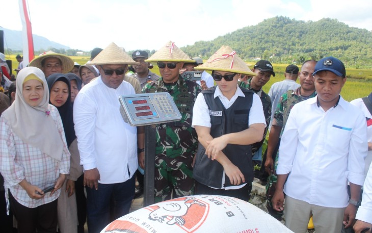 Kolaborasi Petani dan TNI Jaga Ketahanan Pangan