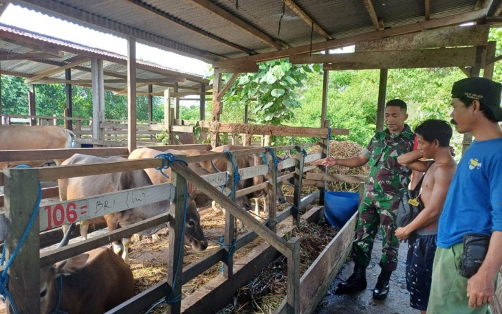 Babinsa Koramil 1710-02/Timika Sertu Rusdin Wali melaksanakan Komunikasi Sosial (Komsos) bersama warga binaan an. Bapak Ismanto yang berprofesi sebagai peternak Sapi di Kel. Kamoro Jaya, Distrik Wania, Kab. Mimika, Rabu (05/02/2025)