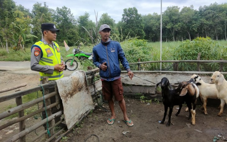 Polsek Belitang III Juga Mendukungan Ketahanan Pangan Lokal Peternakan Kambing