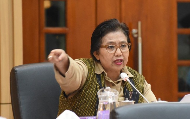 Anggota Komisi IX DPR RI Irma Suryani