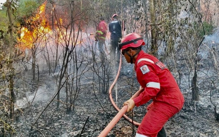Petugas saat memadamkan Karhutla