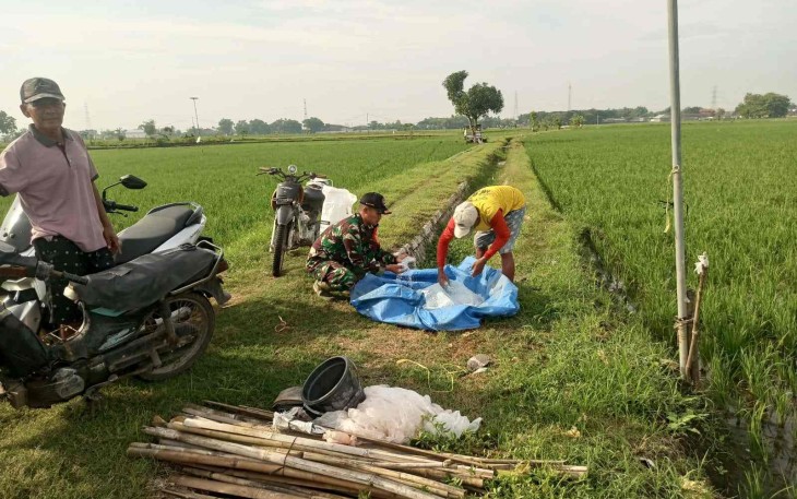 Pendampingan petani wilayah desa binaan 