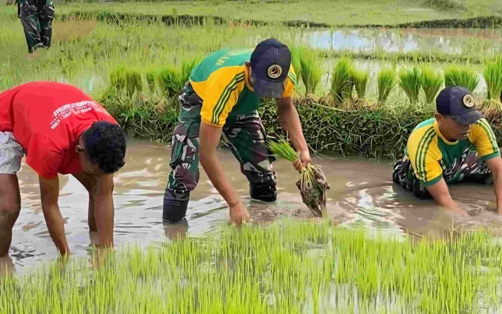 Program ketahanan pangan di perbatasan 