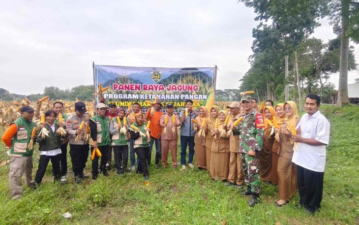 Panen raya jagung di wilayah desa binaan 