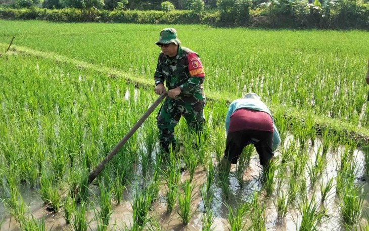 Bantu olah lahan petani wilayah desa binaan 