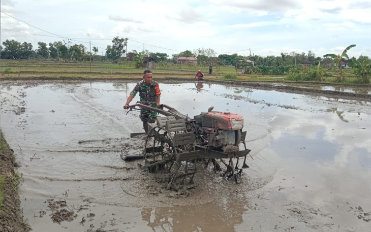 Babinsa Kodim Ponorogo Bantu Bajak Sawah 