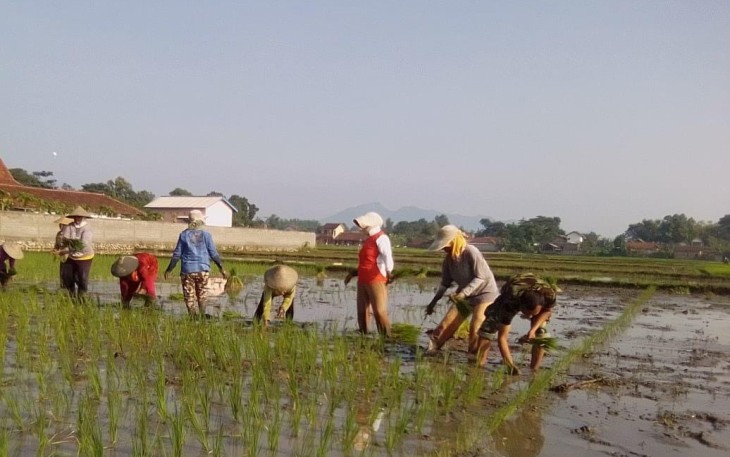 Koptu Riyadi Konsisten Dampingi Petani Desa Binaan