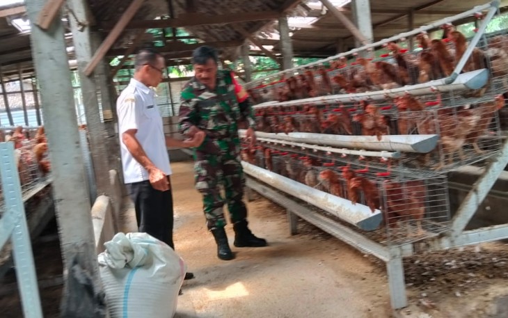 Peternak telur ayam di wilayah desa binaan 