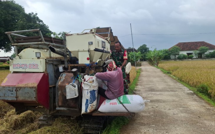 Bantu panen padi warga binaan