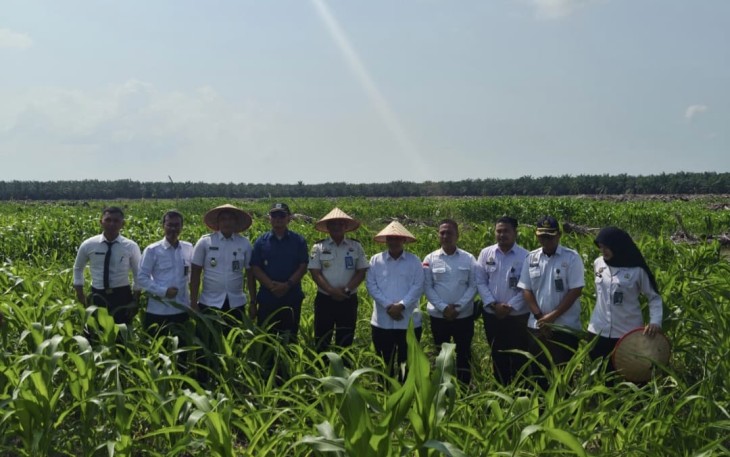 Ketahanan pangan Lapas Kelas IIA Labuhan Ruku