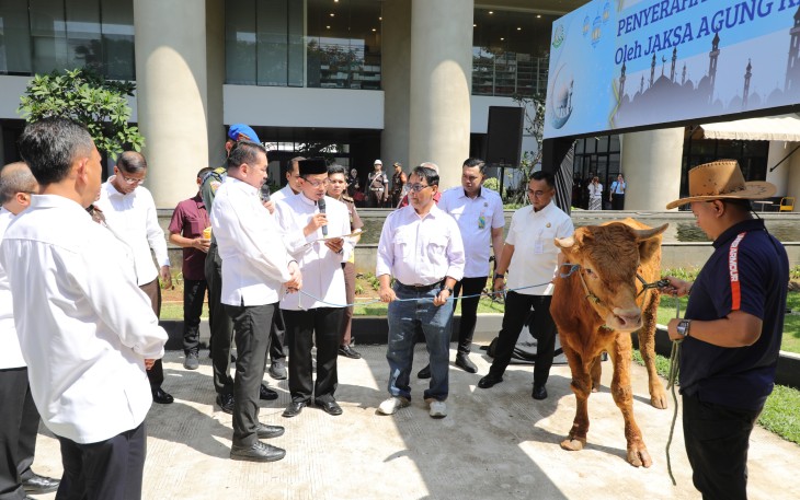 Jaksa Agung Serahkan 1 Sapi Limousin
