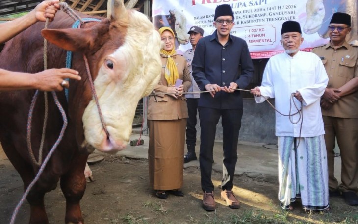 Wakil Bupati Trenggalek, Syah Mohamad Natanegara, saat menyerahkan Sapi Kurban milik Presiden RI, H Prabowo Subianto, di Masjid Ngelo, Desa Sukorame, Kecamatan Gandusari, Kabupaten Trenggalek, Selasa (26/5/2026)