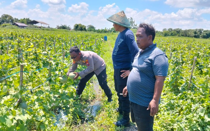Polresta Sidoarjo Gelorakan Swasembada Pangan Melalui Program P2B