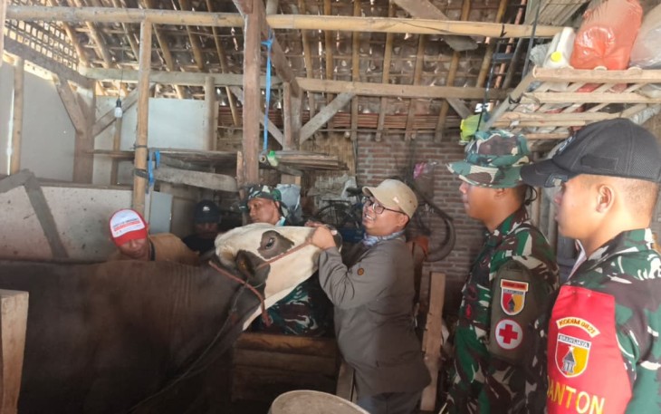 Pelayanan kesehatan hewan ternak warga 