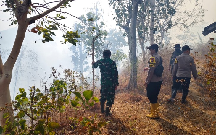 Hutan di Wilayah Binaan Terbakar, Babinsa Kodim Ponorogo dan Unsur Terkait Lakukan Pemadaman