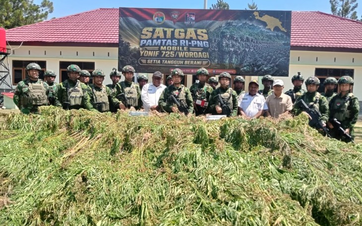 TNI Bersihkan Ladang Ganja di Yahukimo, 21.400 Batang Diamankan