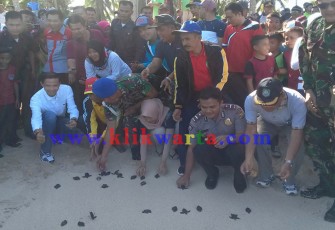 Bupati Kaur Gusril Fauzi saat melepas Tukik
