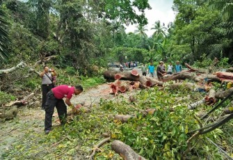 Warga sekitar bersama anggota Polsek Tanjung Kemuning saat ikut membersihkan seerpihan pohon tumbang