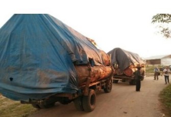 Dua Truk saat diamankan