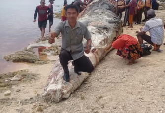 Pewarta Klikwarta.com saat melihat langsung lokasi paus terdampar