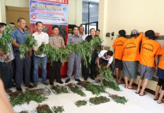 Direktorat reserse narkoba Polda Bengkulu saat press release tersangka dan barang bukti. Foto (tribratanewsbengkulu.com)