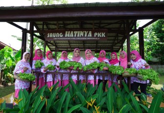 Plt Ketua PKK Provinsi Derta Wahyulin dan Para Pengurus Belajar Cara Penyemaian Benih Sayur 