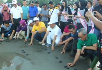 Plt Gubernur hadiri kegiatan Bersih Pantai, Penghijauan dan Pelepasan Tukik Penyu dalam rangka Dies Natalis Universitas Bengkulu ke-36 Tahun 2018, Sabtu (218).