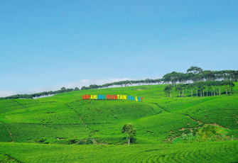 Kawasan Kebun Teh Kabawetan, Foto dok.Julian