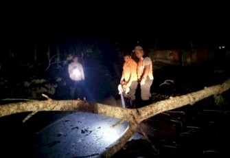 Angin Puting Beliung Tumbangkan Pohon dan Rusak Rumah Warga