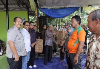Plt Bupati Asahan Surya Panen Raya Padi Sawah di Desa Serdang