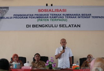 Bupati Bengkulu Selatan Gusnan Mulyadi  