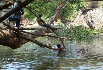 Destinasi Wisata Memancing