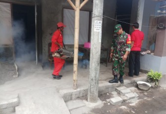 Cegah DBD Babinsa Lakukan Fogging di Wilayahnya