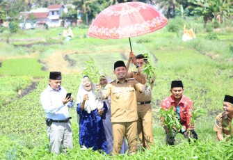Wakil Wali Kota Bengkulu Dedy Wahyudi Melauncing Kampung Tematik Dengan Tema Kampung Putri Gading Organik di Kelurahan Penurunan