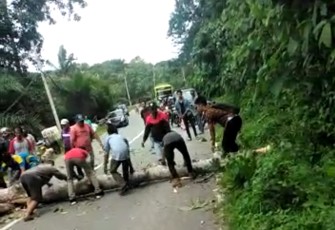 Pasca pohon tumbang pengendara berusaha mengevakuasi sebagian ranting pohon