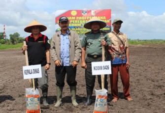 Dandim 0426 dan Kadistan Tuba Tanam Padi Perdana 2019